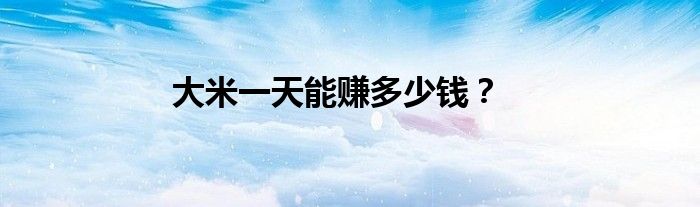 大米一天能賺多少錢？