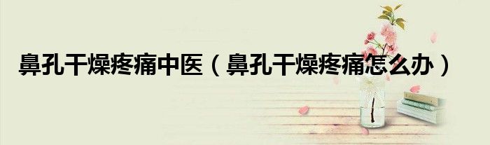 鼻孔干燥疼痛中醫(yī)（鼻孔干燥疼痛怎么辦）