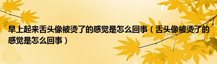 早上起來(lái)舌頭像被燙了的感覺(jué)是怎么回事（舌頭像被燙了的感覺(jué)是怎么回事）