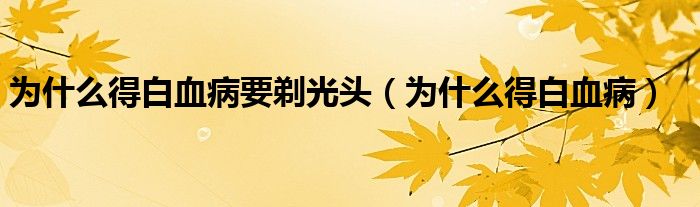 為什么得白血病要剃光頭(為什么得白血病)