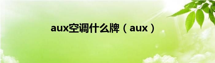 aux空調(diào)什么牌（aux）