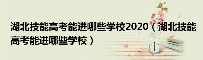 湖北技能高考能進(jìn)哪些學(xué)校2020（湖北技能高考能進(jìn)哪些學(xué)校）