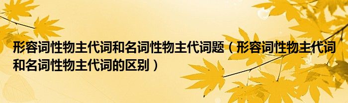 形容詞性物主代詞和名詞性物主代詞題（形容詞性物主代詞和名詞性物主代詞的區(qū)別）