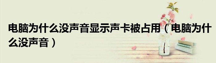 電腦為什么沒聲音顯示聲卡被占用（電腦為什么沒聲音）