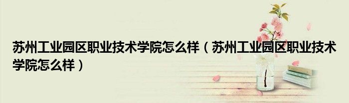 蘇州工業(yè)園區(qū)職業(yè)技術(shù)學(xué)院怎么樣（蘇州工業(yè)園區(qū)職業(yè)技術(shù)學(xué)院怎么樣）