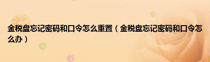 金稅盤忘記密碼和口令怎么重置（金稅盤忘記密碼和口令怎么辦）