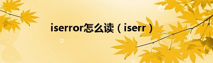 iserror怎么讀(iserr)