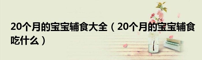 20個月的寶寶輔食大全（20個月的寶寶輔食吃什么）