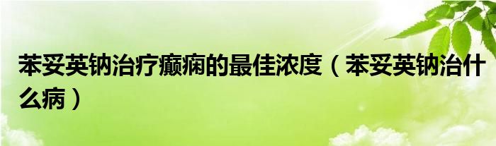 苯妥英鈉治療癲癇的最佳濃度（苯妥英鈉治什么?。?class='thumb lazy' /></a>
		    <header>
		<h2><a  href=