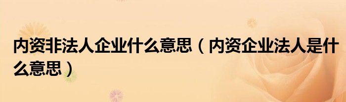 內(nèi)資非法人企業(yè)什么意思（內(nèi)資企業(yè)法人是什么意思）