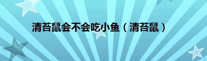 清苔鼠會(huì)不會(huì)吃小魚（清苔鼠）