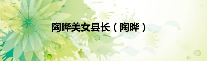 陶曄美女縣長(zhǎng)（陶曄）
