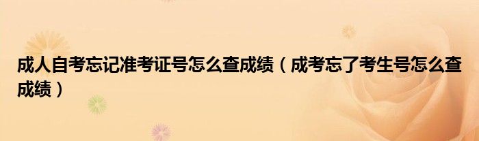 成人自考忘記準考證號怎么查成績（成考忘了考生號怎么查成績）