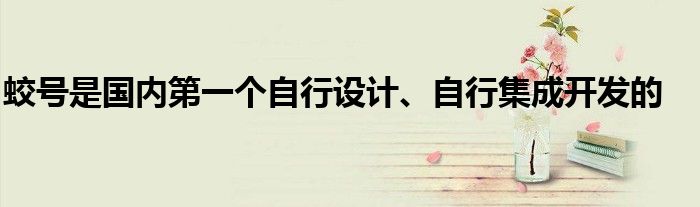 蛟號(hào)是國內(nèi)第一個(gè)自行設(shè)計(jì)、自行集成開發(fā)的