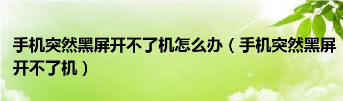手機(jī)突然黑屏開不了機(jī)怎么辦（手機(jī)突然黑屏開不了機(jī)）