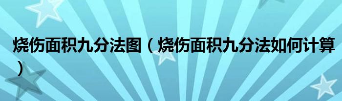 燒傷面積九分法圖（燒傷面積九分法如何計(jì)算）