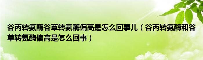 谷丙轉(zhuǎn)氨酶谷草轉(zhuǎn)氨酶偏高是怎么回事兒（谷丙轉(zhuǎn)氨酶和谷草轉(zhuǎn)氨酶偏高是怎么回事）