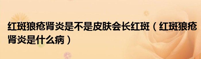 紅斑狼瘡腎炎是不是皮膚會長紅斑（紅斑狼瘡腎炎是什么?。?class='thumb lazy' /></a>
		    <header>
		<h2><a  href=