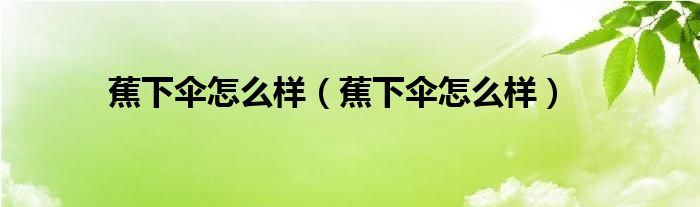 蕉下傘怎么樣（蕉下傘怎么樣）