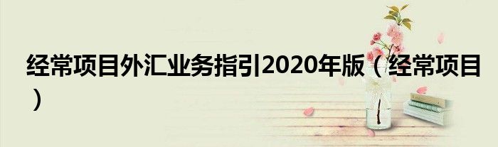 經(jīng)常項(xiàng)目外匯業(yè)務(wù)指引2020年版（經(jīng)常項(xiàng)目）