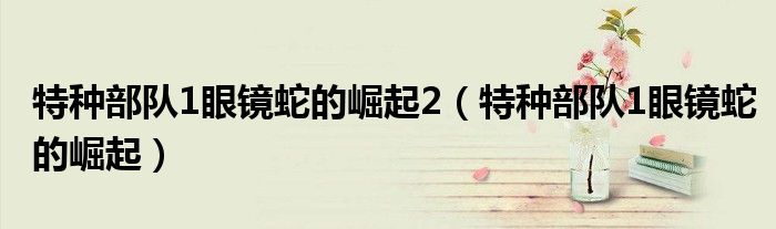 特種部隊(duì)1眼鏡蛇的崛起2（特種部隊(duì)1眼鏡蛇的崛起）