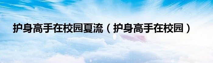 護(hù)身高手在校園夏流（護(hù)身高手在校園）