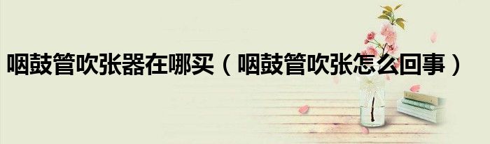 咽鼓管吹張器在哪買（咽鼓管吹張?jiān)趺椿厥拢?class='thumb lazy' /></a>
		    <header>
		<h2><a  href=