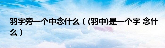 羽字旁一個中念什么（(羽中)是一個字 念什么）