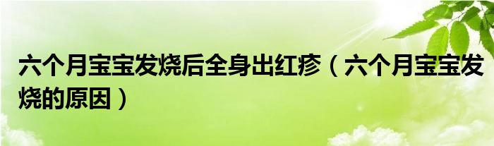 六個(gè)月寶寶發(fā)燒后全身出紅疹（六個(gè)月寶寶發(fā)燒的原因）