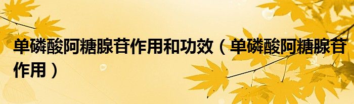 單磷酸阿糖腺苷作用和功效（單磷酸阿糖腺苷作用）