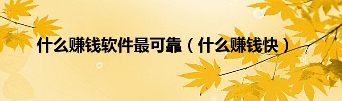什么賺錢軟件最可靠（什么賺錢快）
