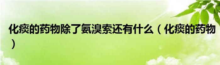 化痰的藥物除了氨溴索還有什么（化痰的藥物）