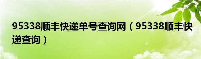 95338順豐快遞單號查詢網(wǎng)（95338順豐快遞查詢）