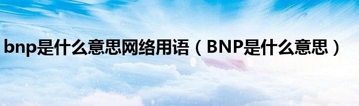 bnp是什么意思網(wǎng)絡用語（BNP是什么意思）