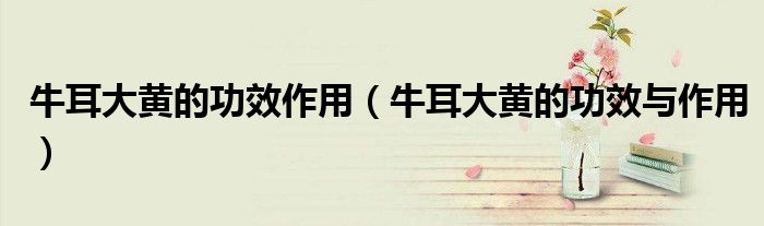 牛耳大黃的功效作用（牛耳大黃的功效與作用）
