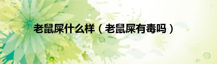 老鼠屎什么樣（老鼠屎有毒嗎）