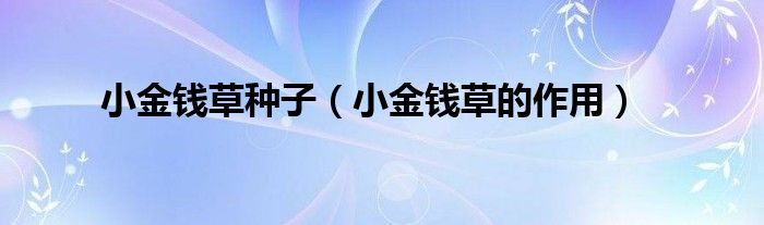 小金錢草種子（小金錢草的作用）