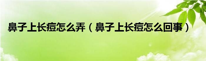 鼻子上長痘怎么弄（鼻子上長痘怎么回事）