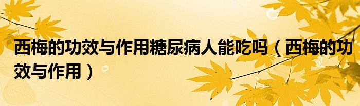 西梅的功效與作用糖尿病人能吃嗎（西梅的功效與作用）