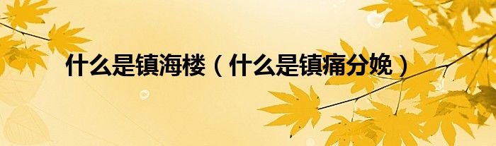 什么是鎮(zhèn)海樓（什么是鎮(zhèn)痛分娩）