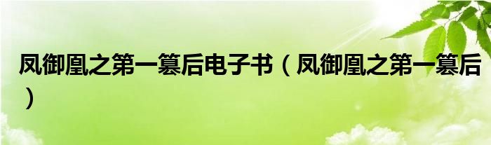 鳳御凰之第一篡后電子書（鳳御凰之第一篡后）
