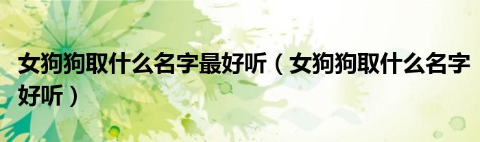 女狗狗取什么名字最好聽(tīng)（女狗狗取什么名字好聽(tīng)）