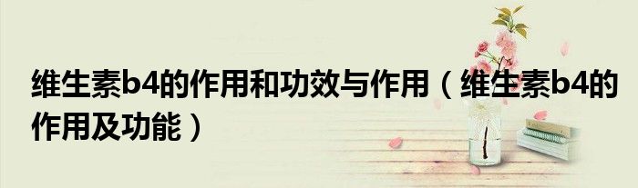 維生素b4的作用和功效與作用（維生素b4的作用及功能）