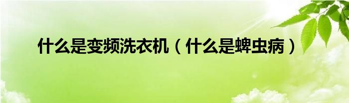 什么是變頻洗衣機(jī)（什么是蜱蟲?。?class='thumb lazy' /></a>
		    <header>
		<h2><a  href=