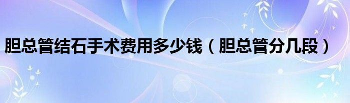 膽總管結(jié)石手術(shù)費用多少錢（膽總管分幾段）
