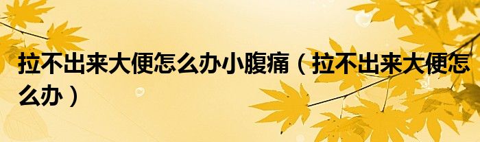 拉不出來大便怎么辦小腹痛(拉不出來大便怎么辦)