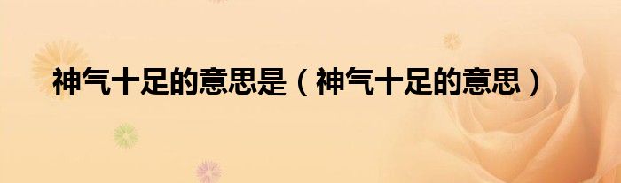 神氣十足的意思是（神氣十足的意思）