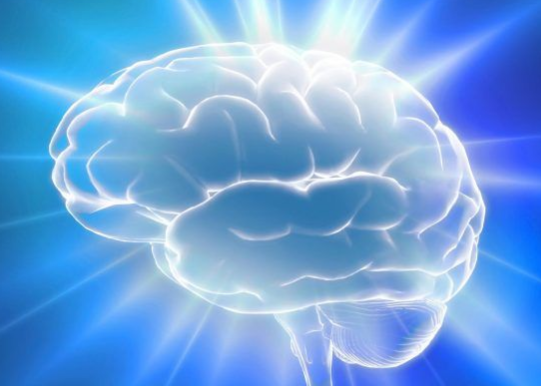 科學(xué)家揭示了保持大腦健康的 3 個關(guān)鍵