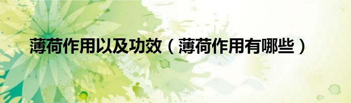 薄荷作用以及功效（薄荷作用有哪些）