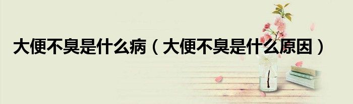大便不臭是什么?。ù蟊悴怀羰鞘裁丛颍?class='thumb lazy' /></a>
		    <header>
		<h2><a  href=